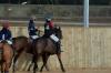 Oxford Polo 2023_01_08 0040